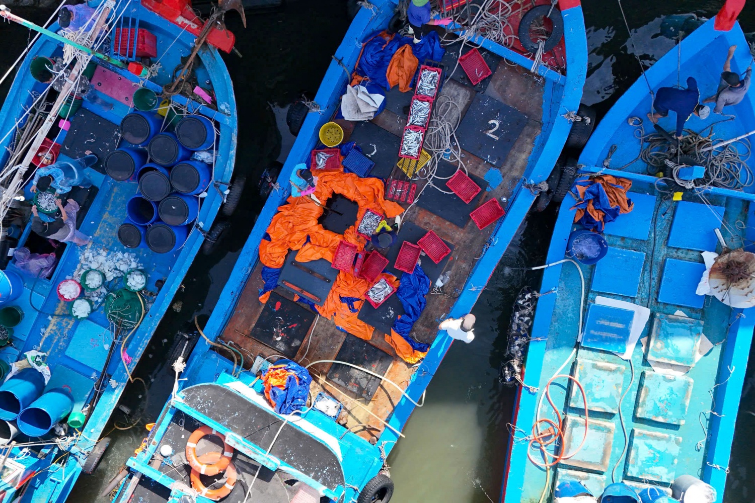 Ngư dân Quảng Ngãi phấn khởi thu hàng tấn cá tươi dịp giáp Tết