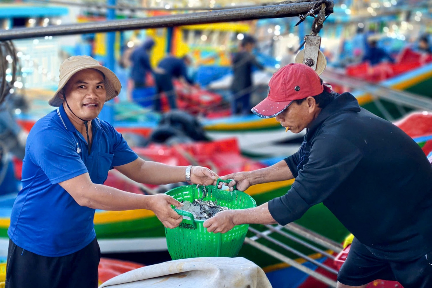 Ngư dân Quảng Ngãi phấn khởi thu hàng tấn cá tươi dịp giáp Tết