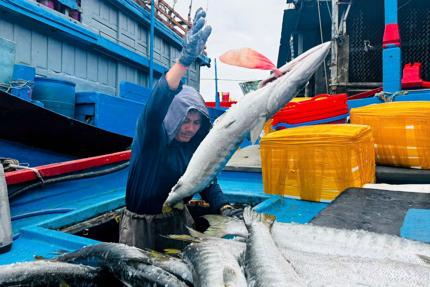 Từ tờ mờ sáng, tàu cá QNg 98370 TS của ngư dân Ngô Cường (trú ở phường Trà Câu) đã cập cảng Tịnh Hòa. Tàu của anh Cường có 9 thuyền viên, tổ chức đánh bắt tại ngư trường Trường Sa.