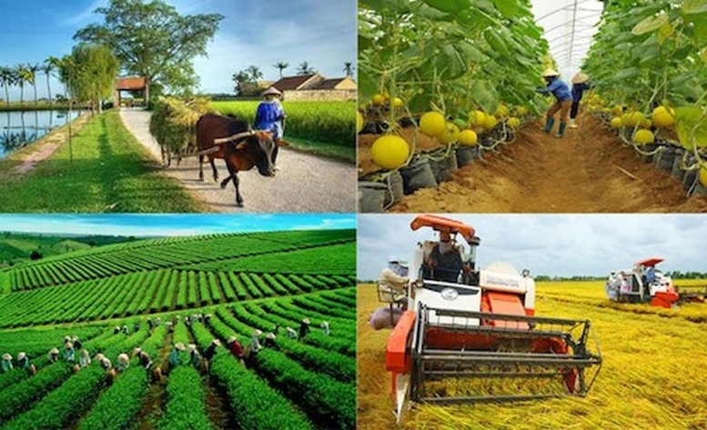ADB và SBV nâng cao năng lực ngân hàng xanh, đẩy mạnh tài trợ khí hậu tại Việt Nam ADB và SBV nâng cao năng lực ngân hàng xanh, đẩy mạnh tài trợ khí hậu tại Việt Nam