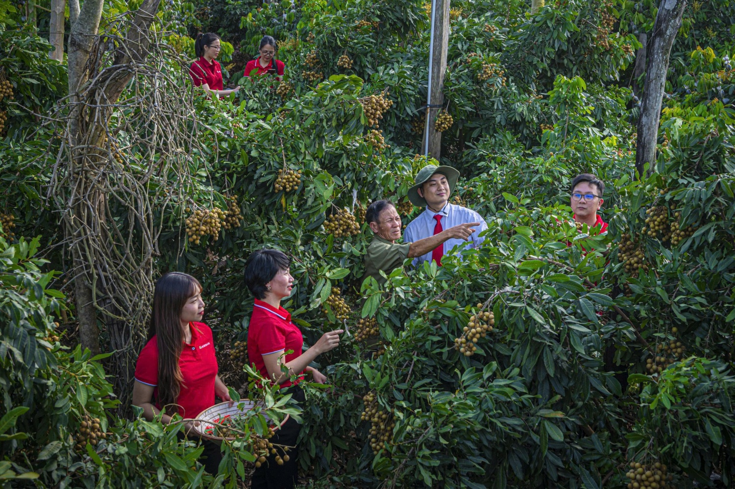 Kỳ 2: Cầu nối tín dụng xanh với thị trường trái phiếu Kỳ 2: Cầu nối tín dụng xanh với thị trường trái phiếu