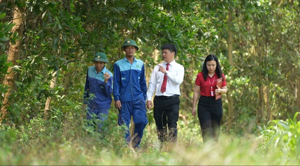 Kỳ 2: Cầu nối tín dụng xanh với thị trường trái phiếu Kỳ 2: Cầu nối tín dụng xanh với thị trường trái phiếu