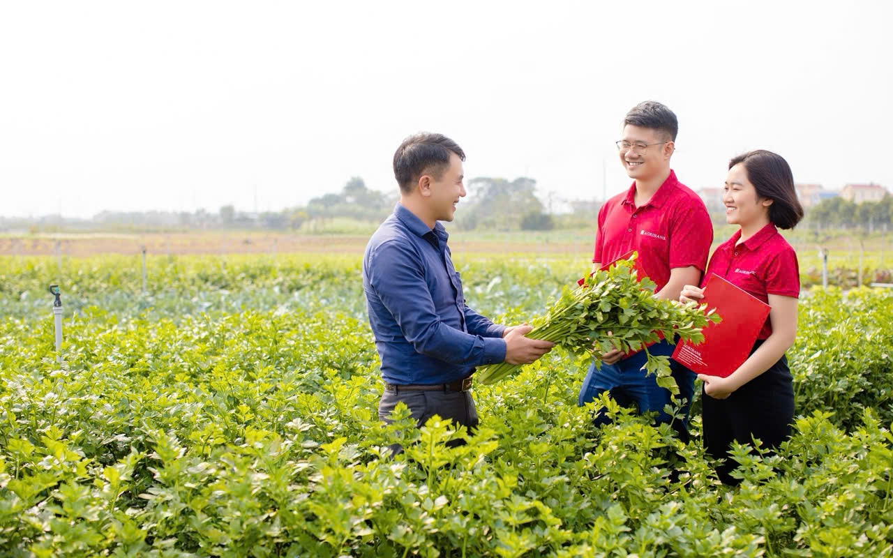 Kỳ 3: Khi thị trường vốn gặp dòng tín dụng xanh Kỳ 3: Khi thị trường vốn gặp dòng tín dụng xanh