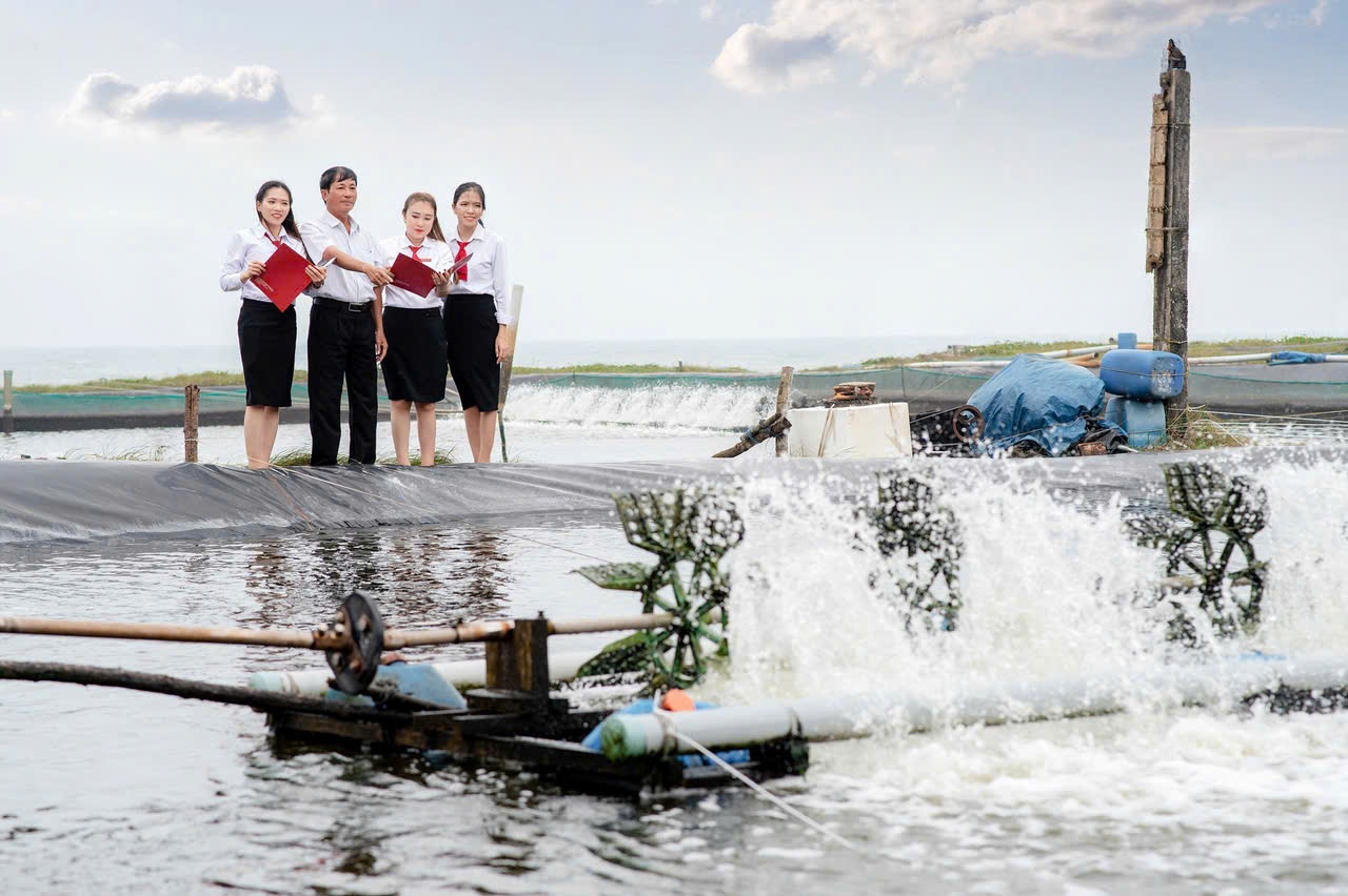 Kỳ 3: Khi thị trường vốn gặp dòng tín dụng xanh Kỳ 3: Khi thị trường vốn gặp dòng tín dụng xanh