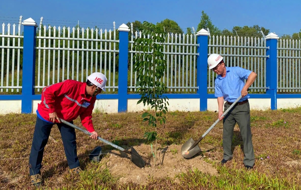 PV Power NT lan tỏa nét đẹp văn hóa từ truyền thống Tết trồng cây