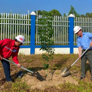 PV Power NT lan tỏa nét đẹp văn hóa từ truyền thống Tết trồng cây