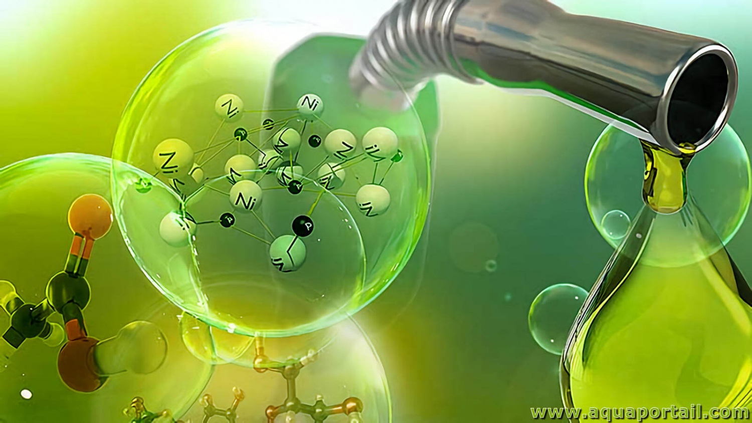 Năng lượng sinh học trong chuyển dịch carbon thấp Năng lượng sinh học trong chuyển dịch carbon thấp