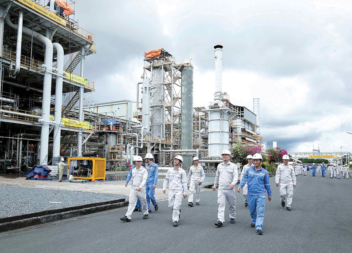 “Hạt giống Việt” nở mùa xuân mới “Hạt giống Việt” nở mùa xuân mới