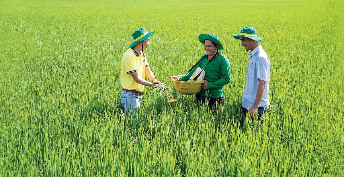 “Hạt giống Việt” nở mùa xuân mới “Hạt giống Việt” nở mùa xuân mới