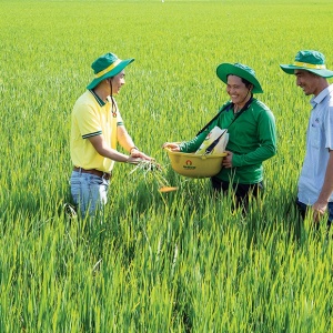 “Hạt giống Việt” nở mùa xuân mới