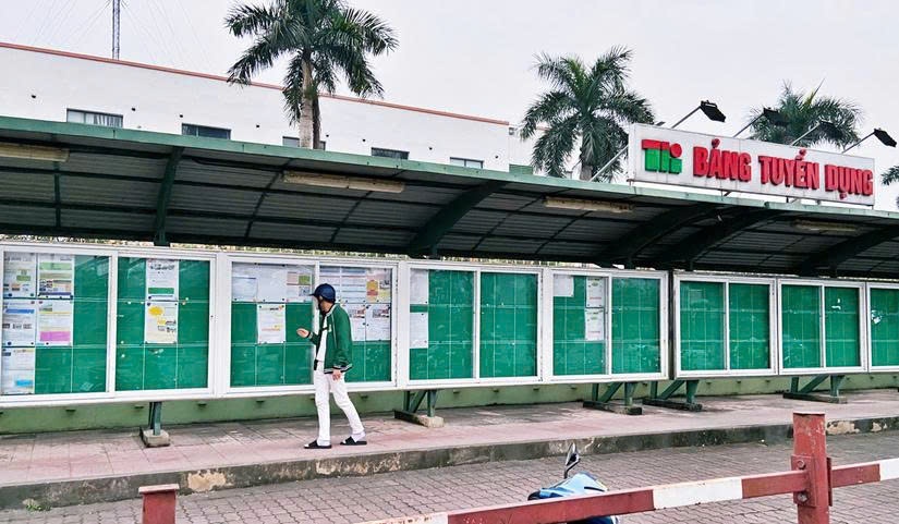 Những mong ước bình dị trước thềm xuân mới