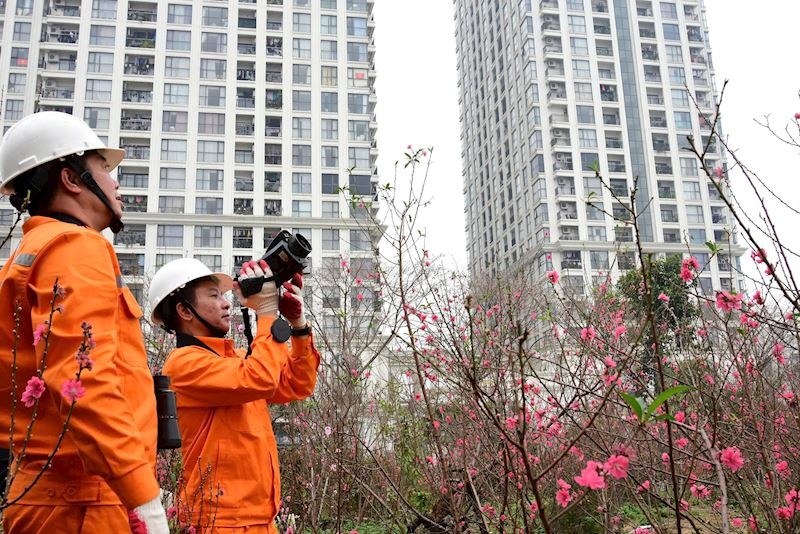 EVN triển khai nhiệm vụ ngay sau kỳ nghỉ Tết Nguyên đán Bính Ngọ 2026 EVN triển khai nhiệm vụ ngay sau kỳ nghỉ Tết Nguyên đán Bính Ngọ 2026