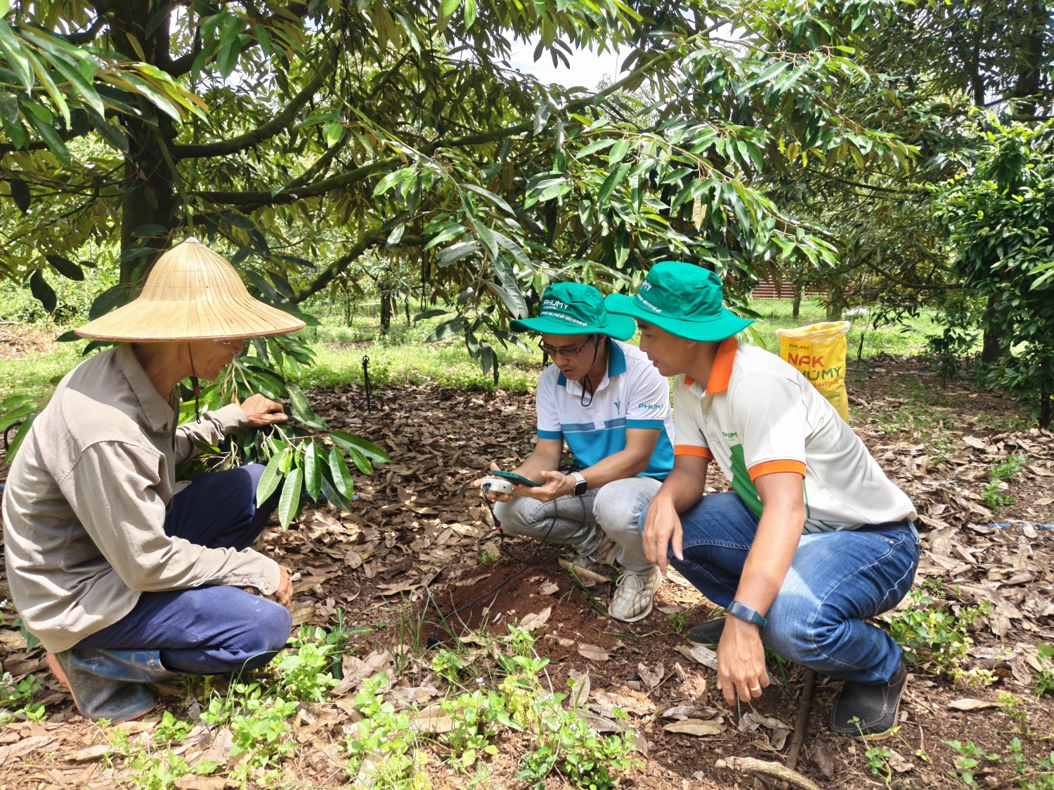 Nhà máy Đạm Phú Mỹ: Viên gạch đầu tiên của công nghiệp hóa dầu Việt Nam