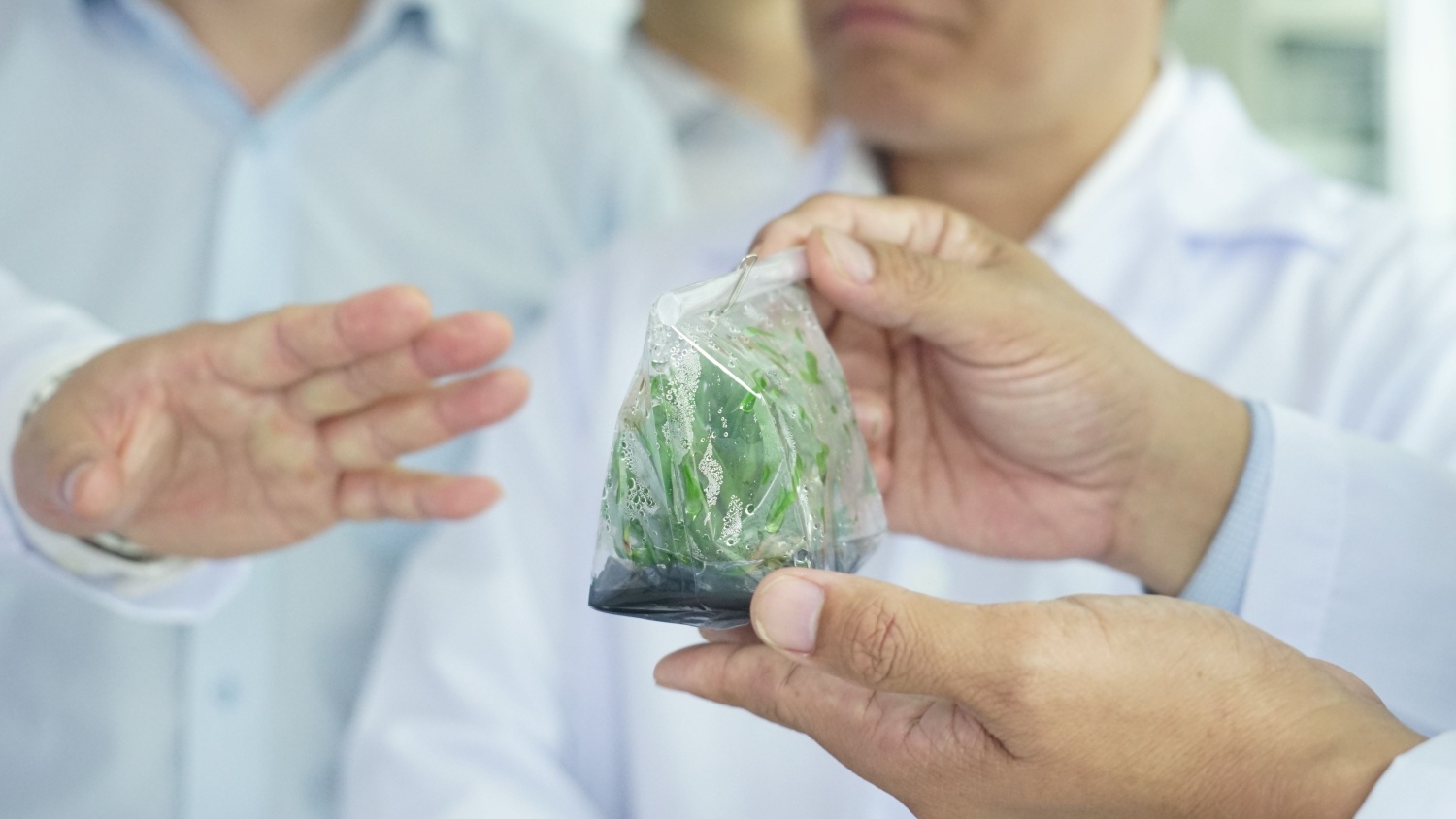 PVCFC và VPI hợp tác phát triển nông nghiệp xanh, bền vững