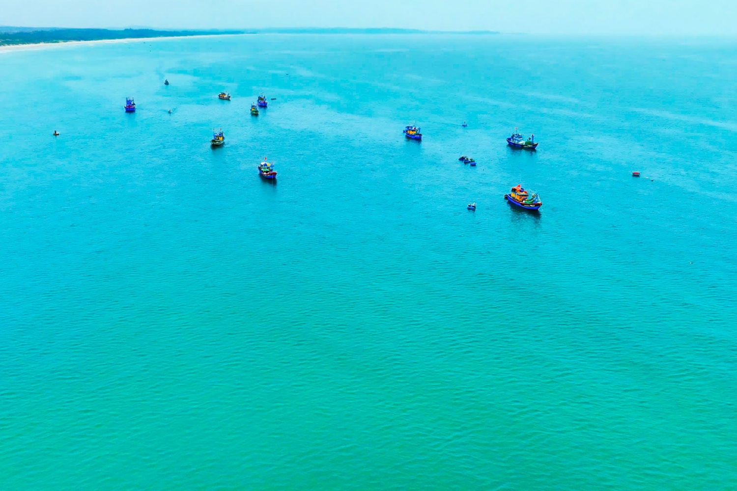 Quảng Ngãi vào mùa ốc gạo, ngư dân kiếm tiền triệu sau mỗi chuyến ra khơi