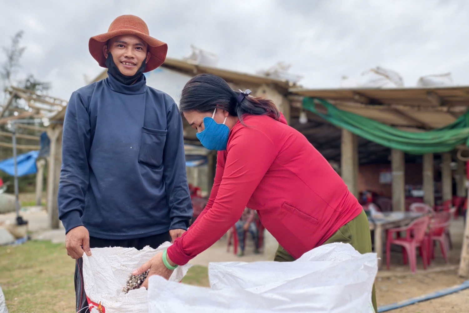 Quảng Ngãi vào mùa ốc gạo, ngư dân kiếm tiền triệu sau mỗi chuyến ra khơi