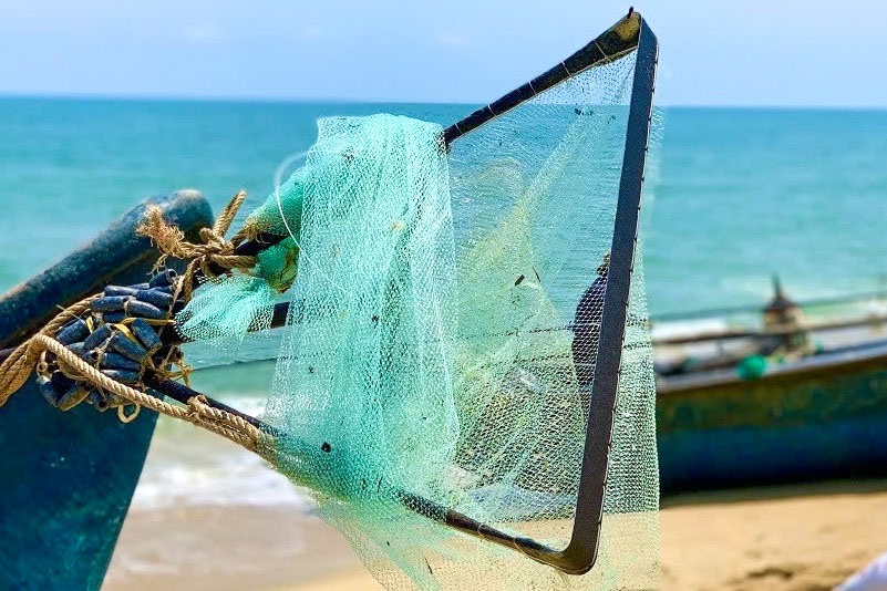 Quảng Ngãi vào mùa ốc gạo, ngư dân kiếm tiền triệu sau mỗi chuyến ra khơi