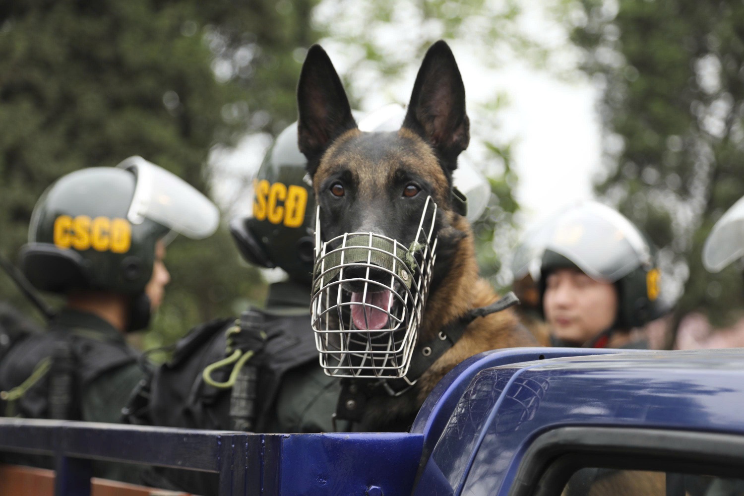Lực lượng CAND bảo đảm tuyệt đối an ninh, an toàn ngày bầu cử