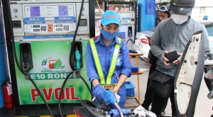 Phát triển xăng sinh học: Lợi ích kép cho an ninh năng lượng và nông dân