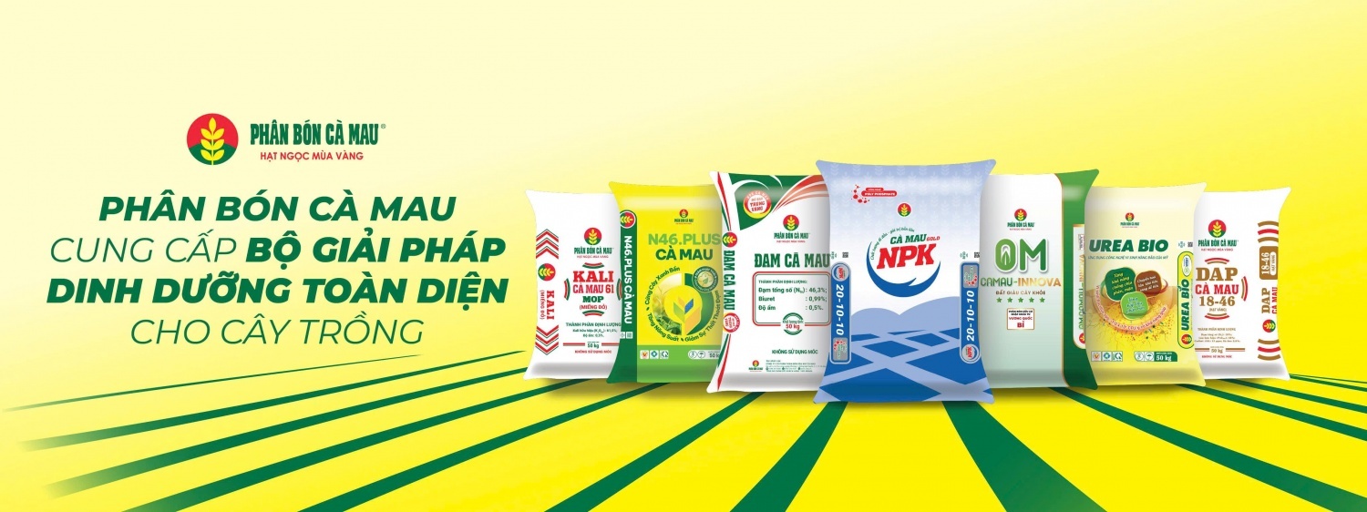 PVCFC: Thúc đẩy tiêu thụ, mở rộng thị trường và đẩy mạnh M&A, tạo động lực tăng trưởng mới PVCFC: Thúc đẩy tiêu thụ, mở rộng thị trường và đẩy mạnh M&A, tạo động lực tăng trưởng mới