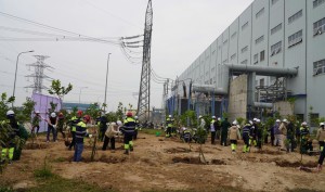 Tươi mãi màu xanh thanh niên tại NMNĐ Thái Bình 2