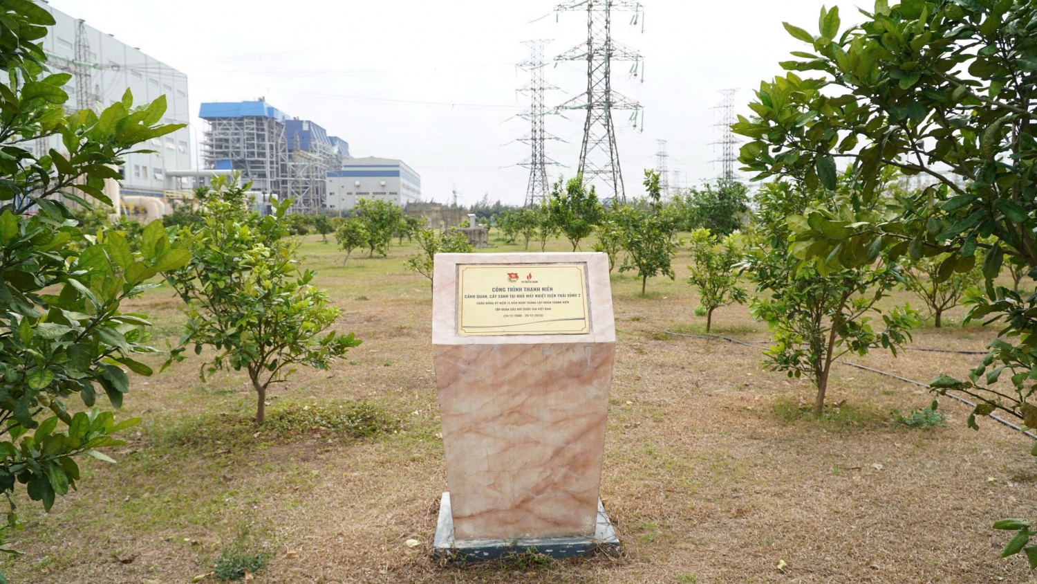 Thái Bình 2 tháng thanh niên 2026