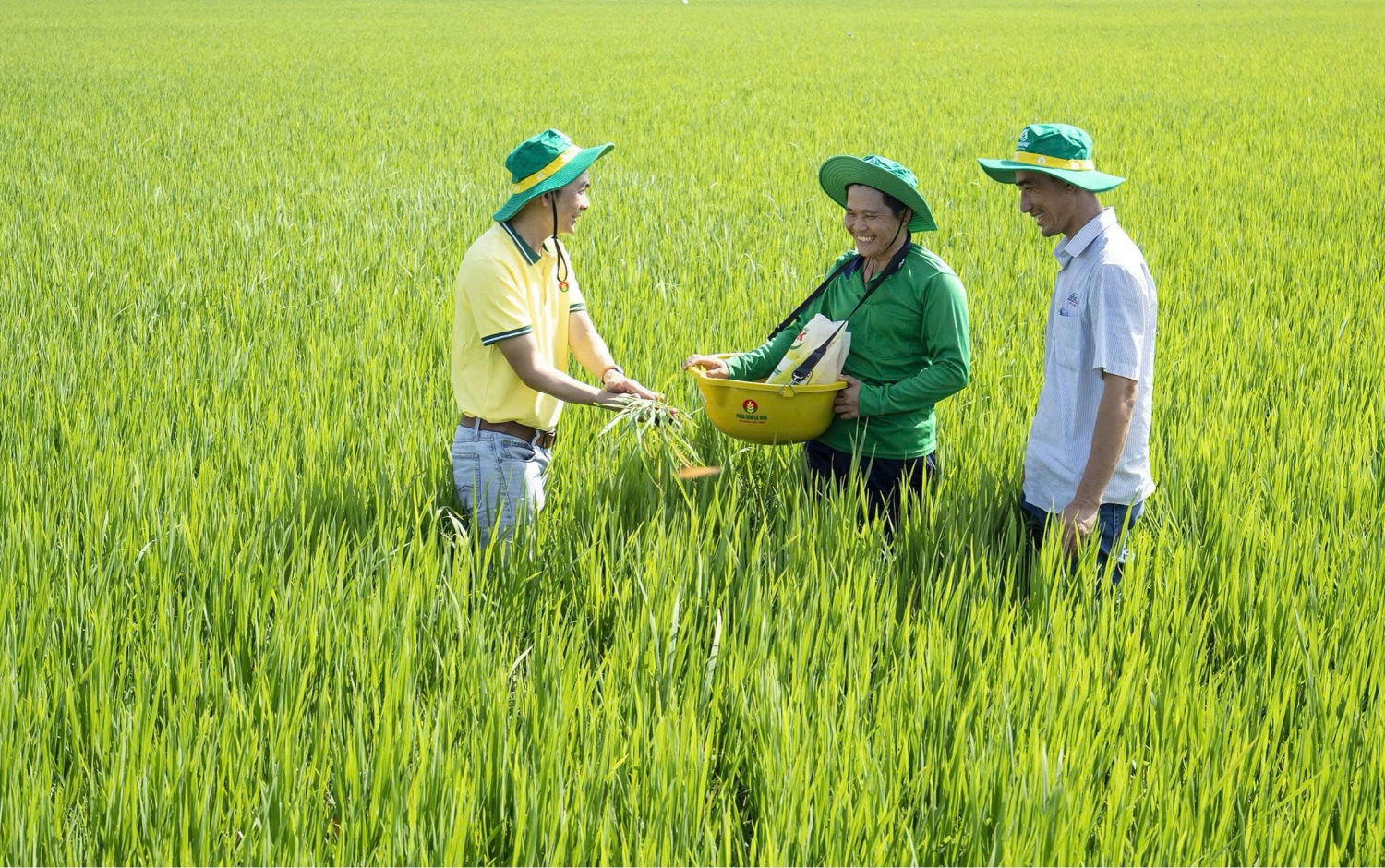 Phân bón Cà Mau giữ vững danh hiệu Hàng Việt Nam chất lượng cao năm 2026 Phân bón Cà Mau giữ vững danh hiệu Hàng Việt Nam chất lượng cao năm 2026