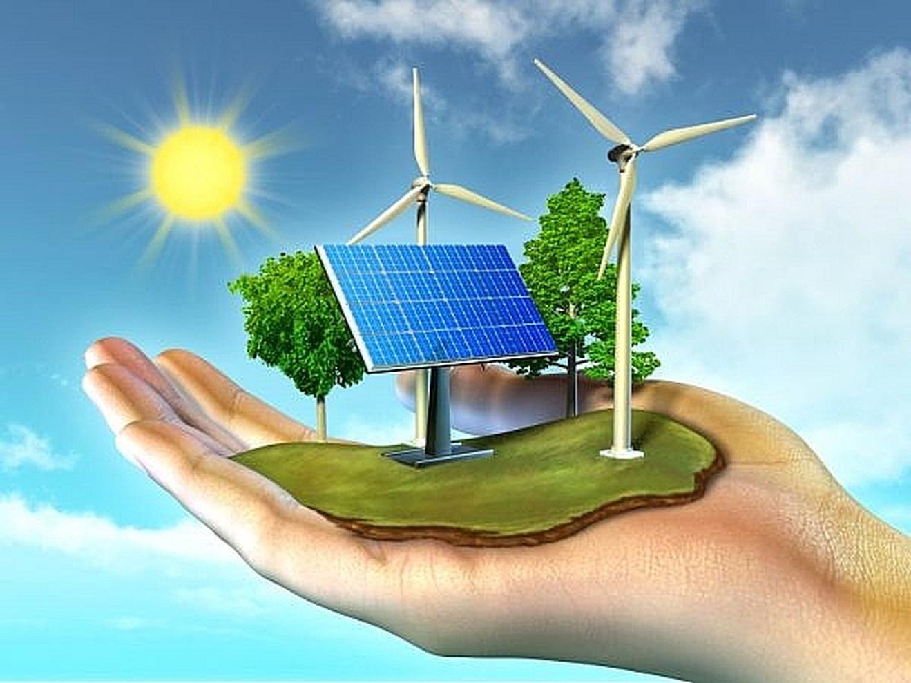 Tiết kiệm năng lượng không phải là lựa chọn, đó là văn hóa