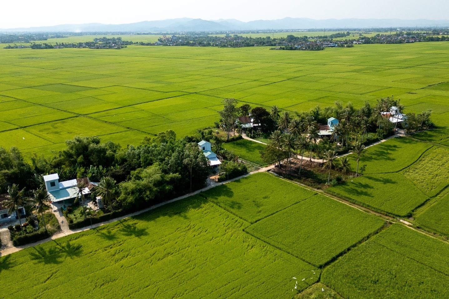 Những ngôi nhà an toàn được Ngân hàng Phát triển Châu Á (ADB) và Chính phủ tài trợ được xây dựng 