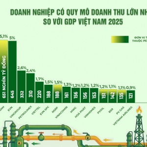Petrovietnam và hệ sinh thái đóng góp nổi bật vào tăng trưởng GDP đất nước