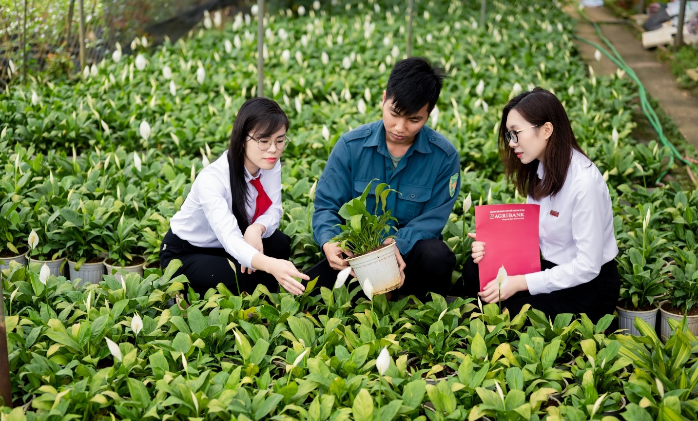 Agribank - Dòng vốn bền bỉ, điểm tựa vững chắc cho người dân và doanh nghiệp