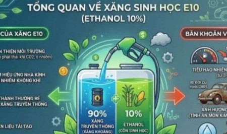 [VIDEO] Xăng E10 có gây “hại động cơ” như lời đồn?