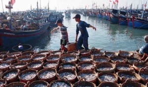 Định hình đối tượng nuôi chủ lực, mở hướng đi mới cho kinh tế biển