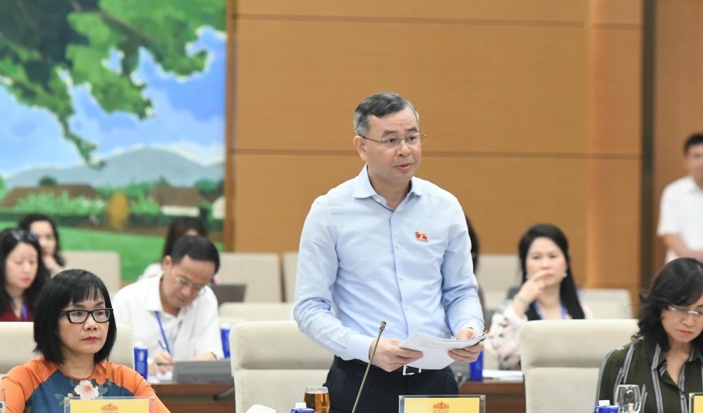 Chính sách thuế cần ứng phó nguy cơ xe điện giá rẻ từ nước ngoài vào Việt Nam