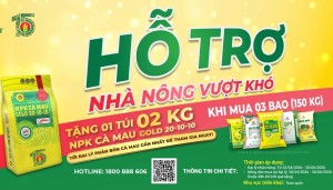 Phân bón Cà Mau triển khai chương trình “Hỗ trợ nhà nông vượt khó” trên toàn quốc