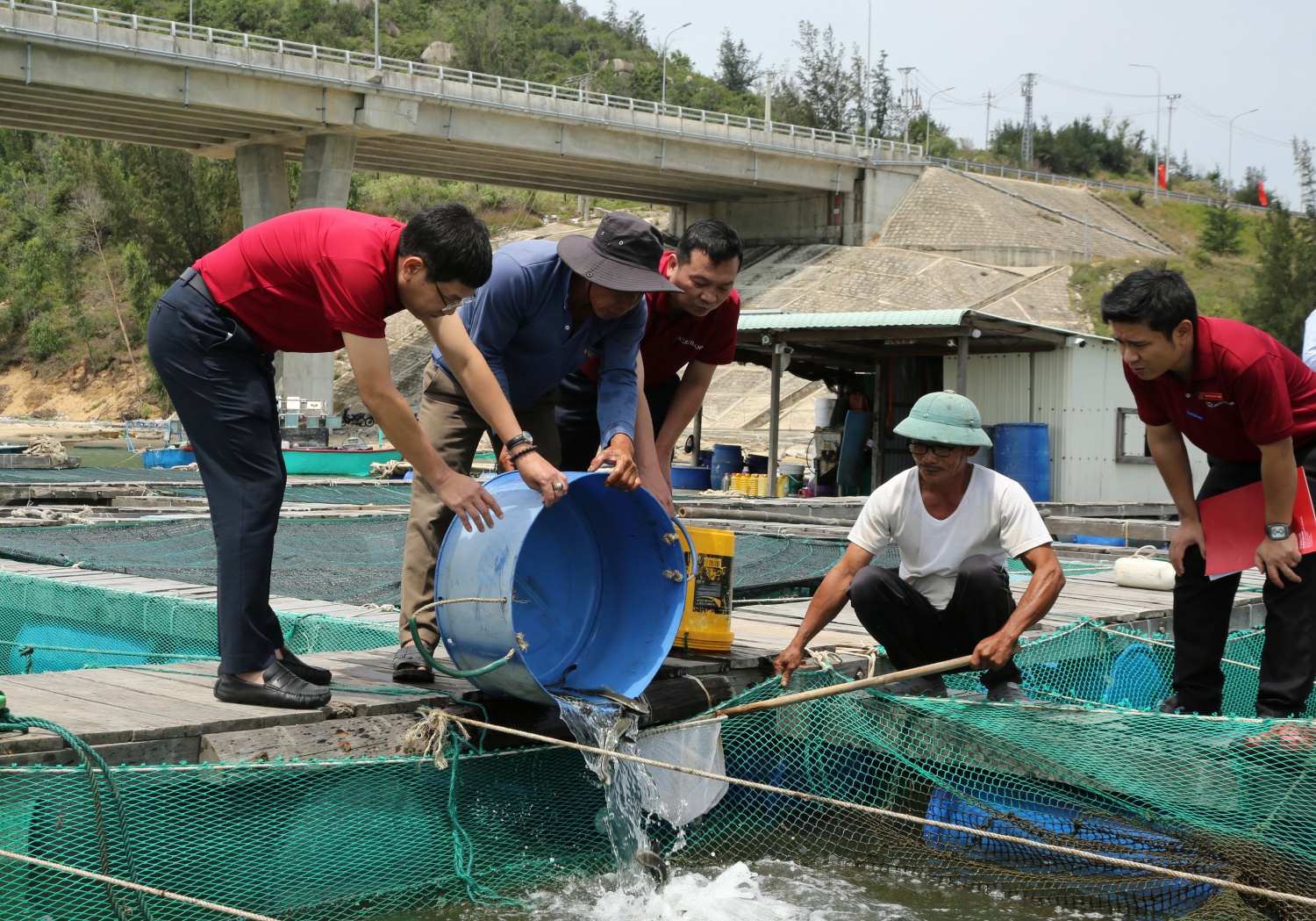 Từ tiếp cận vốn đến phát triển bao trùm: Dấu ấn tài chính toàn diện ở nông thôn (Kỳ 1) Từ tiếp cận vốn đến phát triển bao trùm: Dấu ấn tài chính toàn diện ở nông thôn (Kỳ 1)