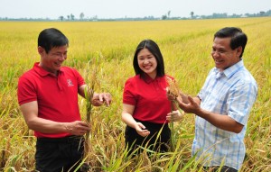 Từ tiếp cận vốn đến phát triển bao trùm: Dấu ấn tài chính toàn diện ở nông thôn (Kỳ 3)