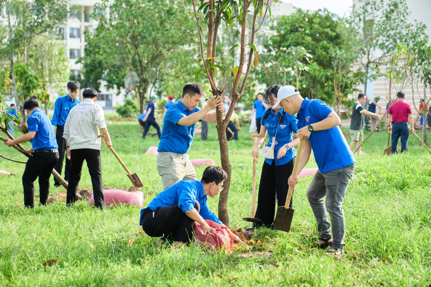 PVCFC chung tay kiến tạo không gian xanh, lan tỏa giá trị bền vững PVCFC chung tay kiến tạo không gian xanh, lan tỏa giá trị bền vững