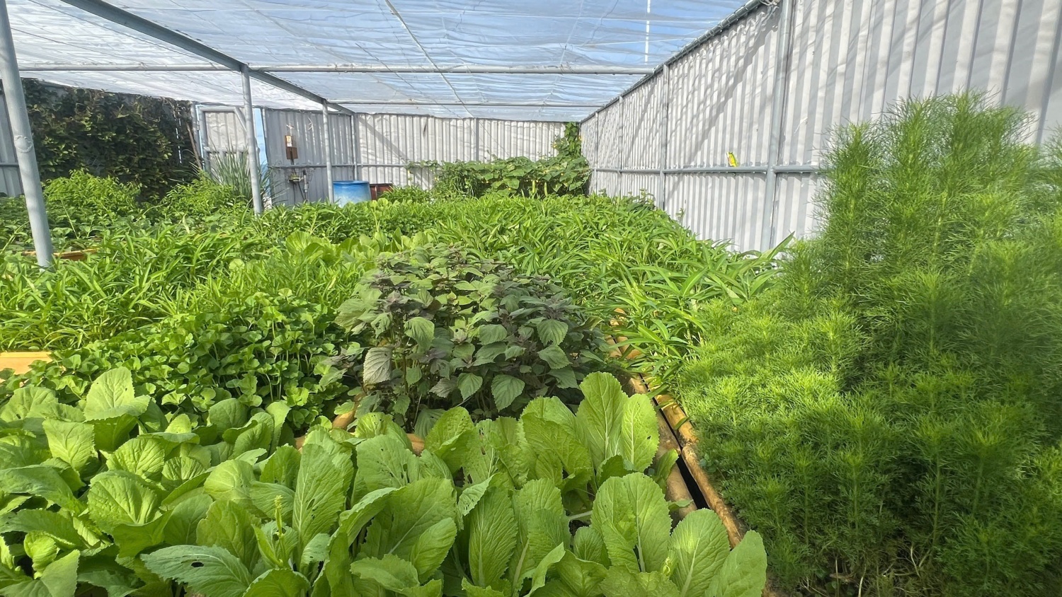 Dấu ấn Trường Sa