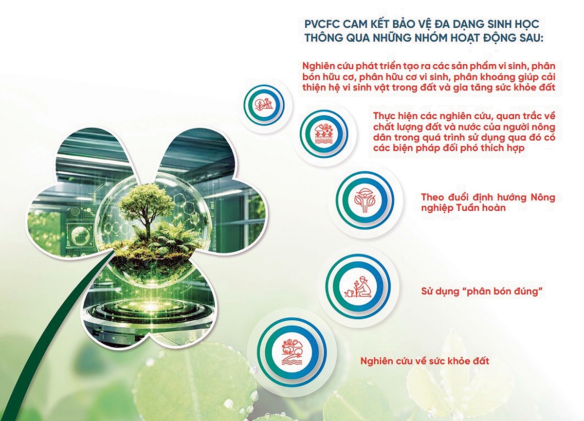 Những hạt phân bón giữ màu xanh cho đất