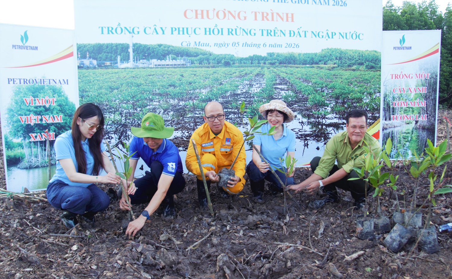 Petrovietnam trồng rừng tại Cà Mau: Gieo mầm xanh từ trách nhiệm phát triển bền vững