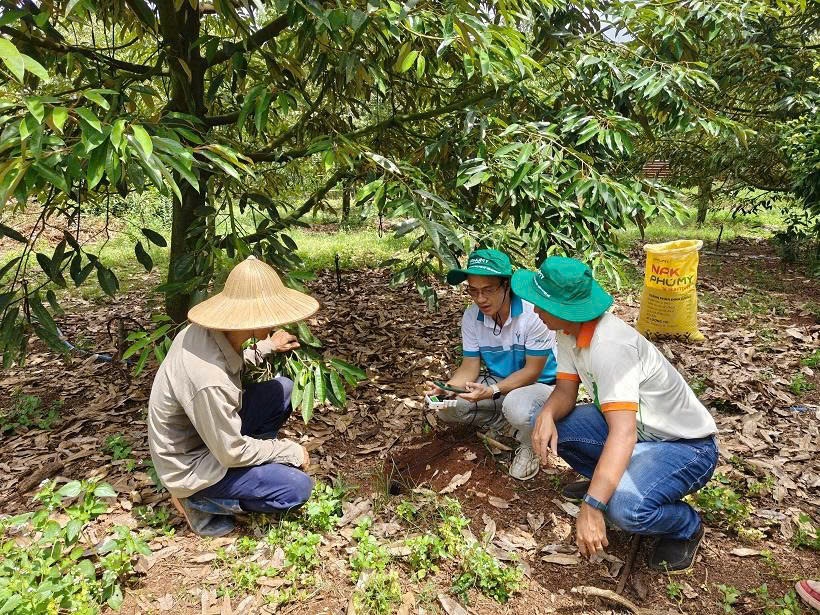 Nửa đầu năm 2026: PVFCCo - Phú Mỹ bứt phá tăng trưởng toàn diện