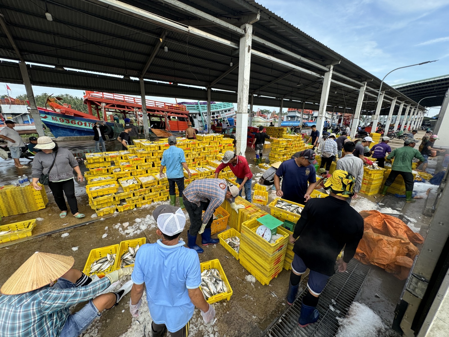 An Giang siết quản lý tàu cá, xử lý dứt điểm tồn tại trong chống khai thác IUU An Giang siết quản lý tàu cá, xử lý dứt điểm tồn tại trong chống khai thác IUU