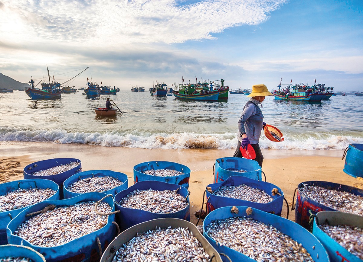 Người giữ “giọt nồng” làng biển