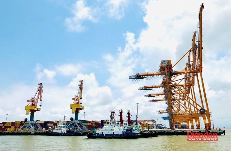 Cảng biển Hải Phòng: Khẳng định vị thế trên bản đồ hàng hải quốc tế Cảng biển Hải Phòng: Khẳng định vị thế trên bản đồ hàng hải quốc tế