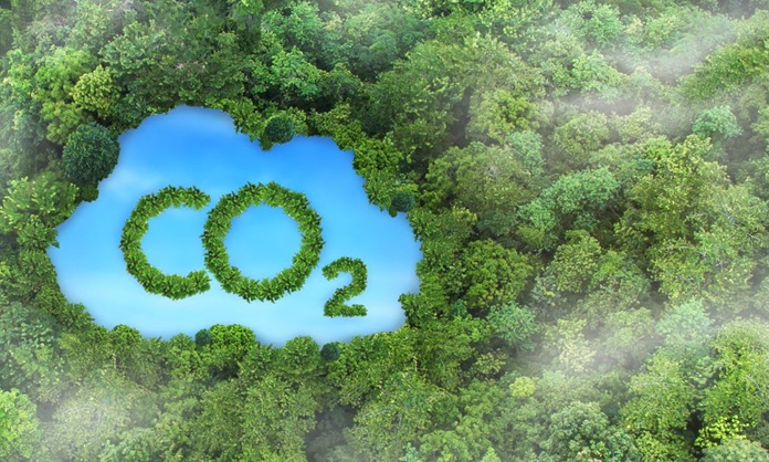 Mở rộng cánh cửa hội nhập quốc tế cho thị trường carbon Việt Nam