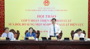 Sửa Luật Điện lực: Cần cơ chế đột phá cho LNG, điện gió ngoài khơi