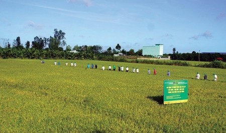 An ninh năng lượng - Nền tảng bảo đảm an ninh lương thực và ổn định kinh tế