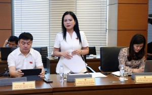 ĐBQH Nguyễn Thị Thanh Bình: Hoàn thiện khung pháp lý để mở đường phát triển năng lượng ngoài khơi