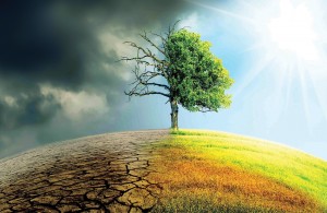El Nino trên một hành tinh nóng hơn